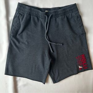 Hollister Gray Athletic Shorts Elastic Waistband Soft Fabric